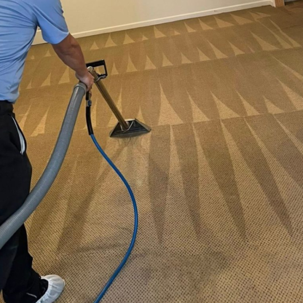 On-Site Carpet Cleaning For Multiple Rooms