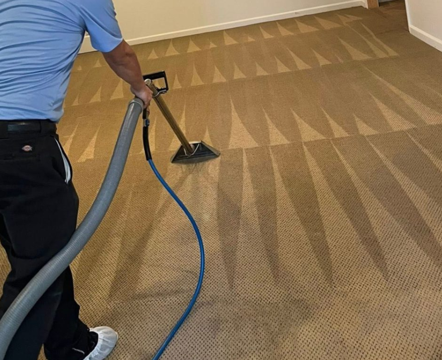 On-Site Carpet Cleaning For Multiple Rooms