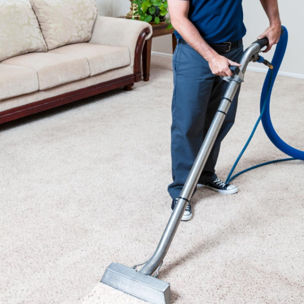 On-Site Spot And Stain Treatment For Small Rugs