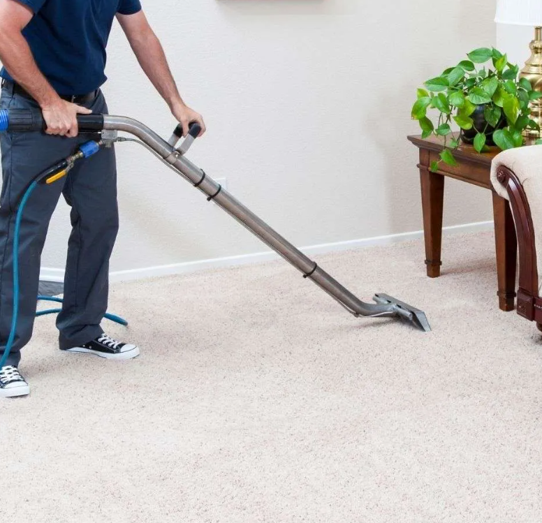 Deep Cleaning For A Single Carpeted Area In The Home